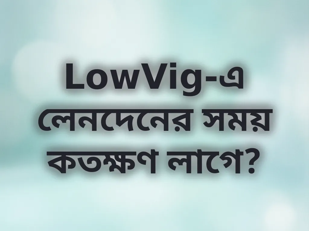 LowVig লেনদেন সময়